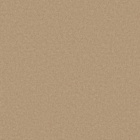 8L60_Frisea_RGB 8L60_Frisea_RGB