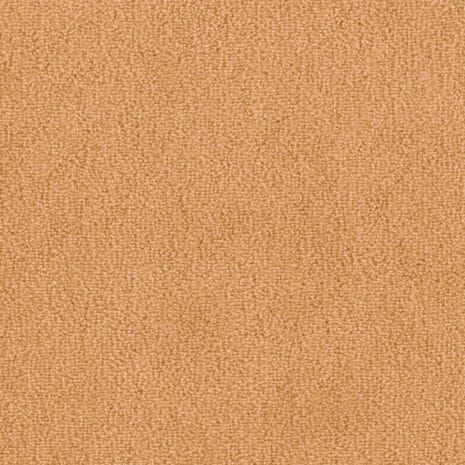 Barista_1Q08 Barista_1Q08