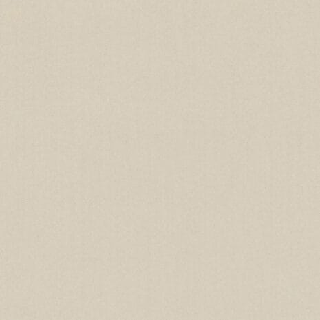 Barista_6C81 Barista_6C81