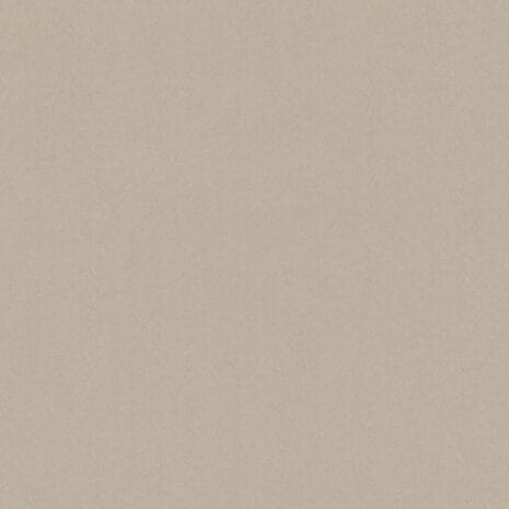 Barista_6C82 Barista_6C82