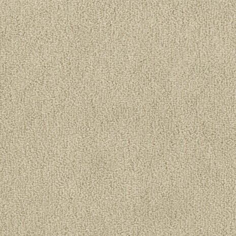 Barista_6C97 Barista_6C97